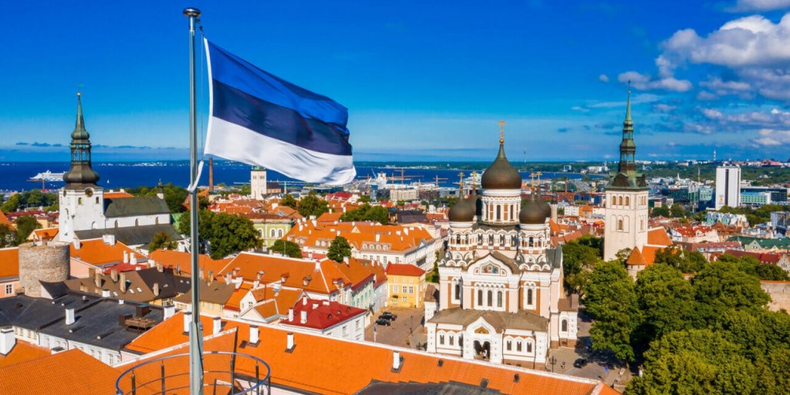 Features of purchasing real estate in Estonia